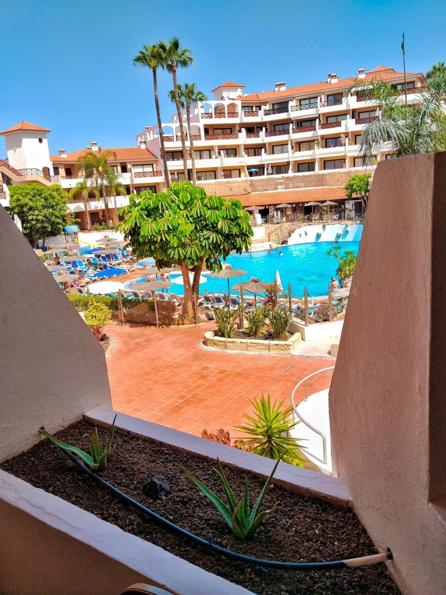 Maximar Apartment 8 Bed Places, Heated Swimmingpool 아로나 외부 사진